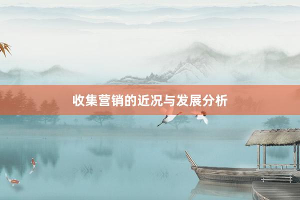 收集营销的近况与发展分析